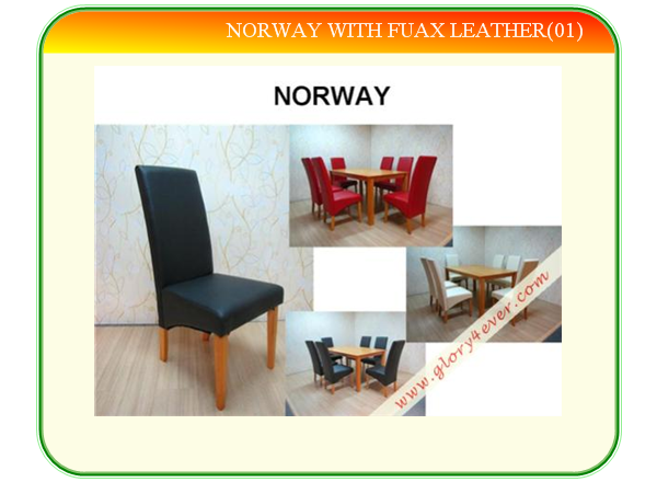 NORWAY WITH FUAX LEATHER(01)